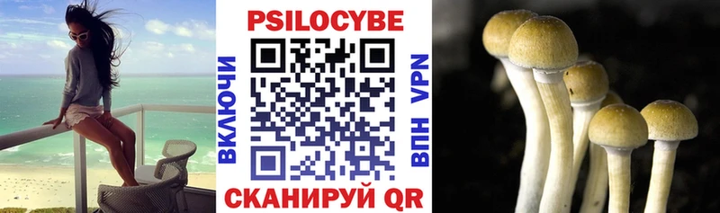 kraken зеркало  это Telegram  Галлюциногенные грибы мицелий  Старая Русса 