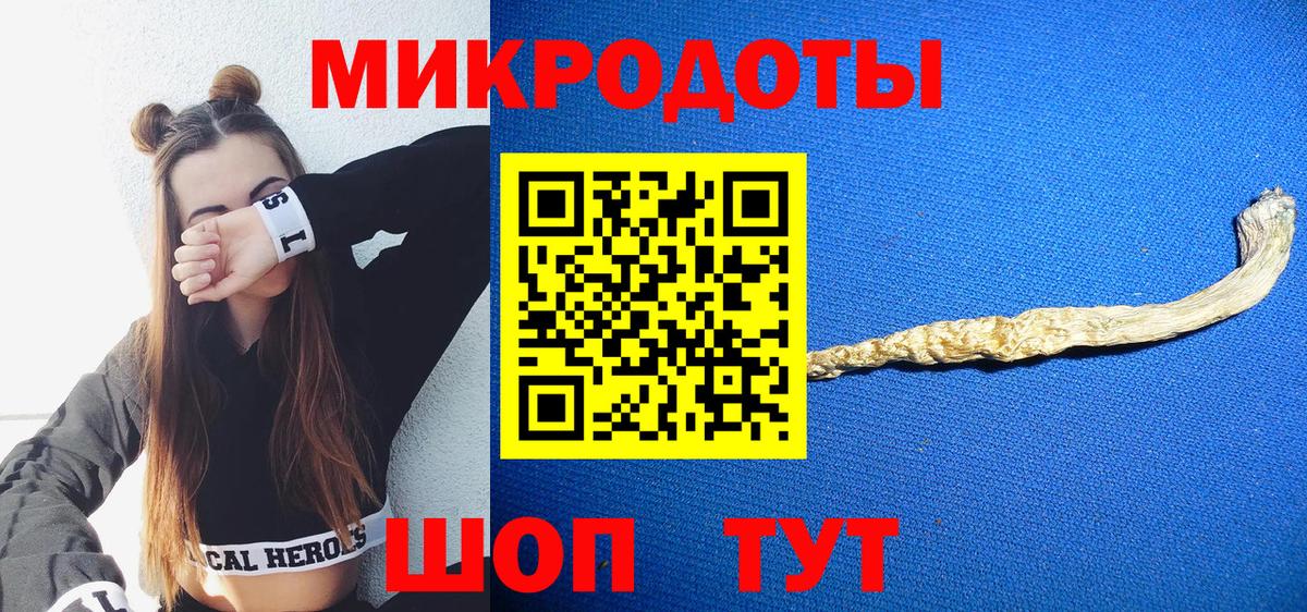 Галлюциногенные грибы Psilocybe Старая Русса