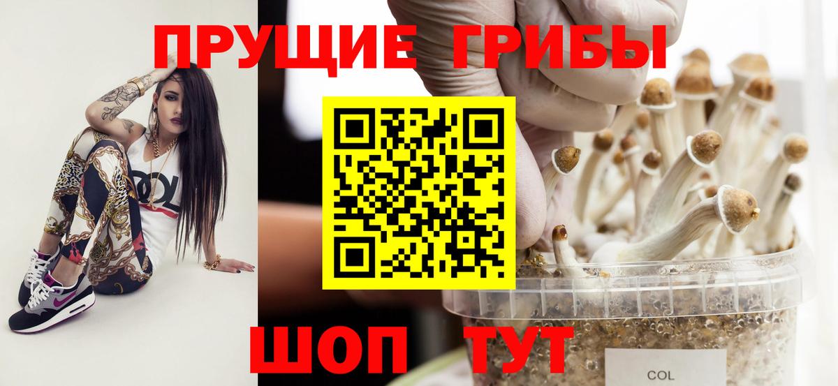 Псилоцибиновые грибы Psilocybine cubensis  как найти наркотики  Старая Русса  Псилоцибиновые грибы Cubensis  Вход с VPN 